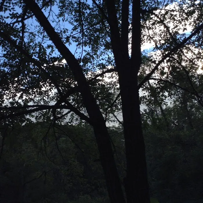 Ponderosa Mobile Home Park 2