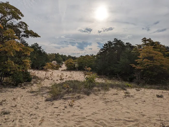 Dune Lake Campground 9