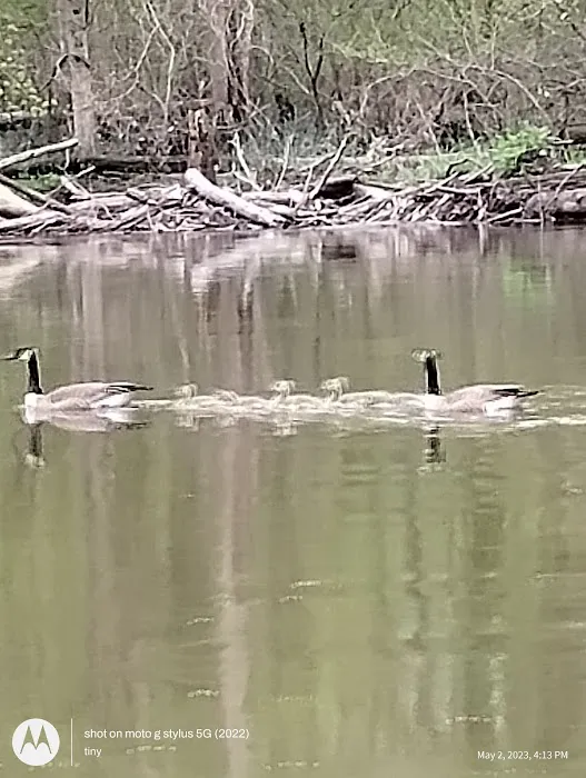 Paw Paw River Campgrounds 6