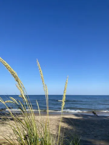 Covert Park Beach & Campground 4