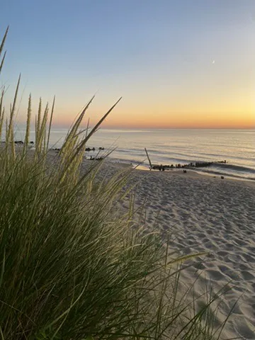 Covert Park Beach & Campground 5