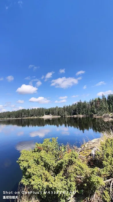 Shoe Lake Public Access 3