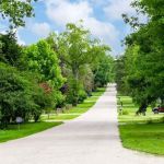 Pine Hills