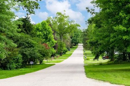 Pine Hills