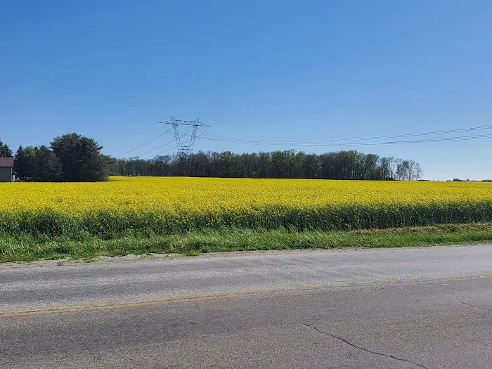 Anoka Acres MHP 2