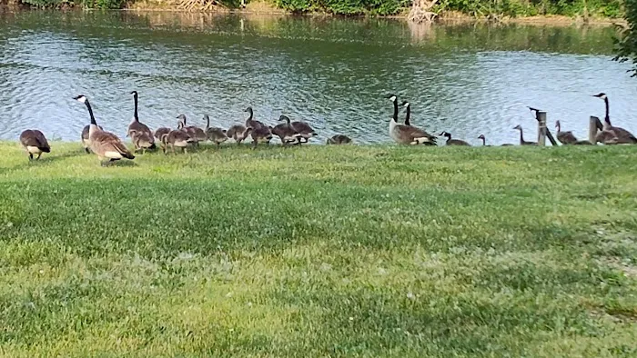 Great Lakes Resort 5