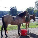 Frances Slocum Trailriders