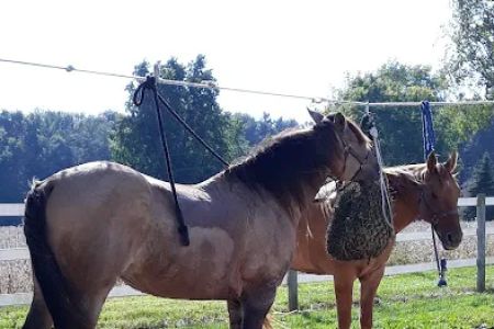 Frances Slocum Trailriders