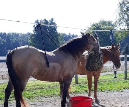Frances Slocum Trailriders