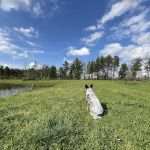 Mississinewa Lake Seasonal Campground