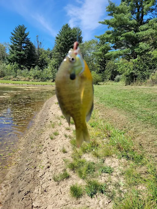 Mississinewa Lake Campground 7