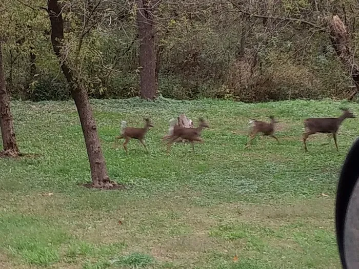 Lakehurst Riverside Campgrounds 5