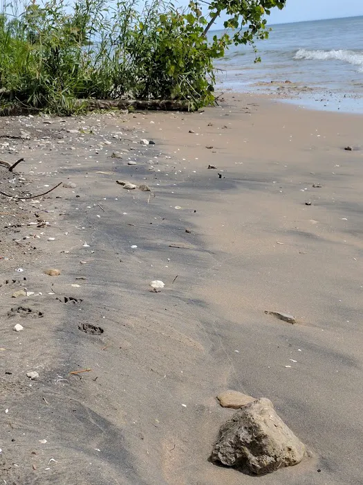 Harrington Beach Campground 6