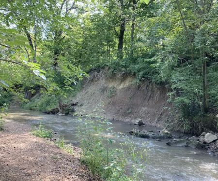 Swiss Valley Campground