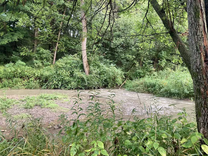 Swiss Valley Campground 9