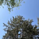 Creek Valley Campground