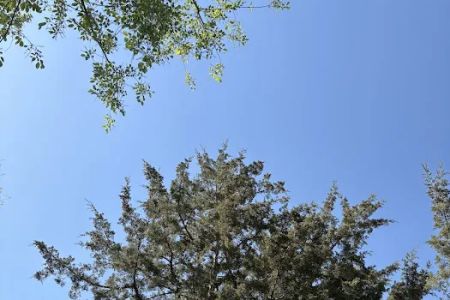 Creek Valley Campground