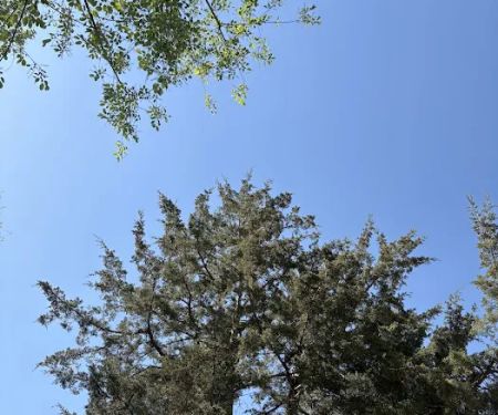 Creek Valley Campground