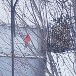 Lost Canyon Mobile Home Park