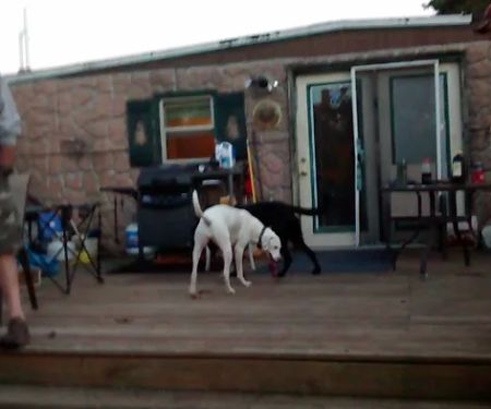 Poynette Mobile Home Estates