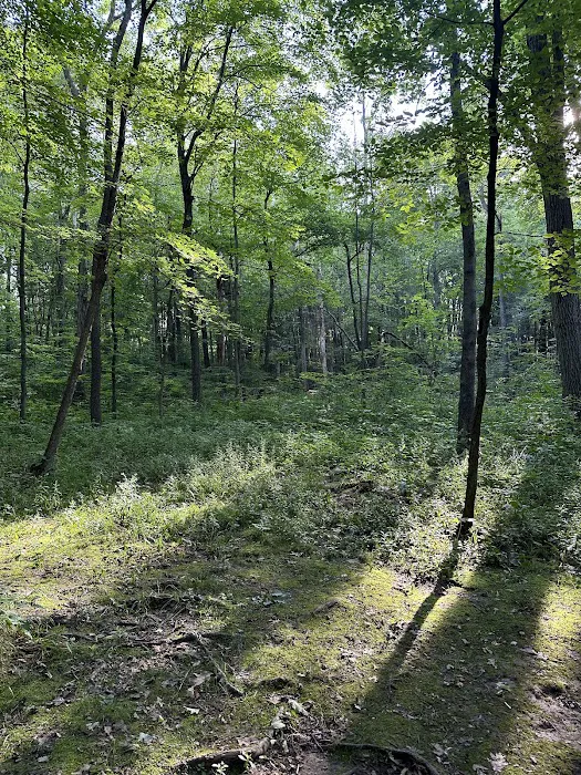 Upper Ice Age Campground 4