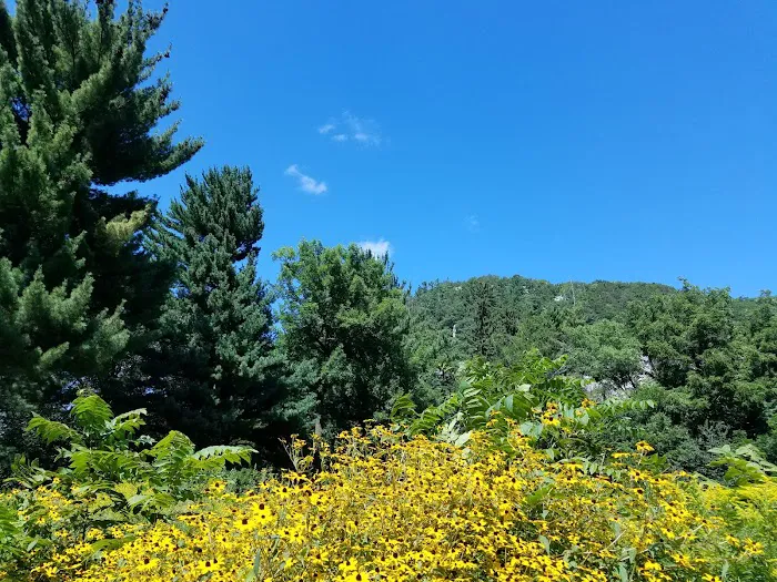 Ice Age Trail Campground 5
