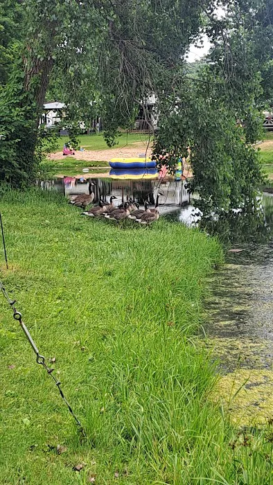 Double K-D Ranch Campground 3