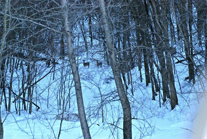 Mount Pisgah...a peaceful place 1