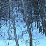 Mount Pisgah...a peaceful place