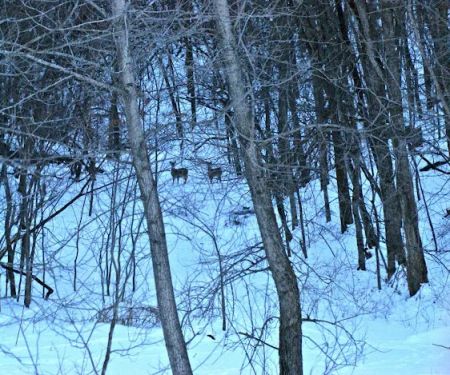 Mount Pisgah...a peaceful place