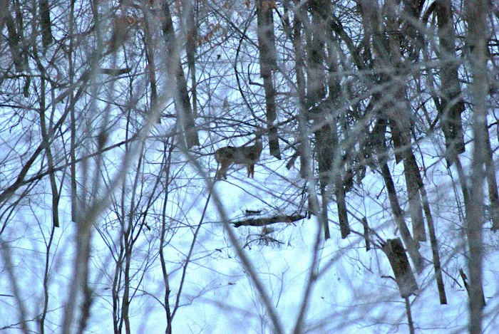 Mount Pisgah...a peaceful place 6