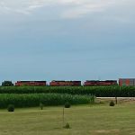 Liberty Acres Fainting Goat Farm and Campground