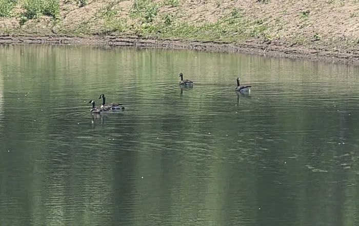Hidden Lake 1