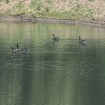Hidden Lake
