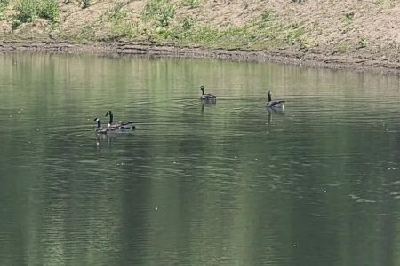 Hidden Lake