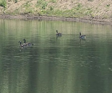 Hidden Lake