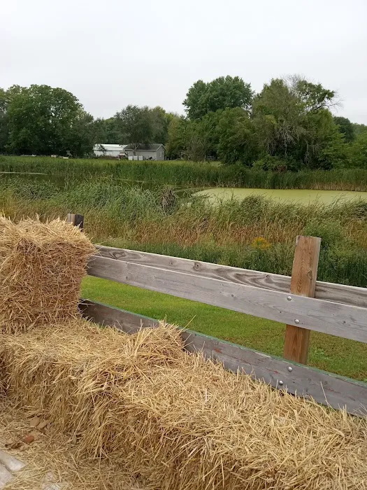 Buffalo Shores Park, IA 2