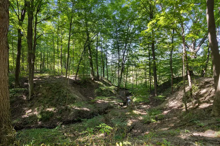 Brush Creek Campground 5