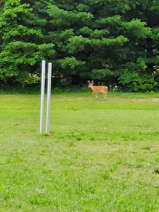Oak Shores Campground 4