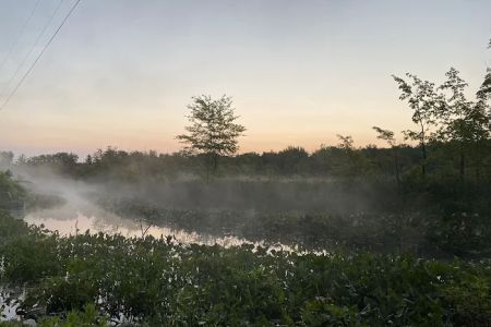 Scott Lake Campground