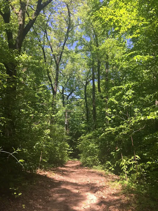 Roses Retreats Cabins & Campsites 5