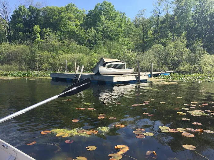 Roses Retreats Cabins & Campsites 4