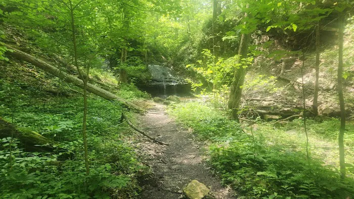 Salamonie River State Forest Family Campground 5