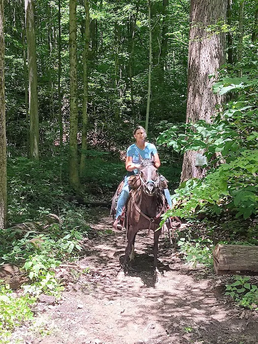 Salamonie River State Forest Family Campground 8
