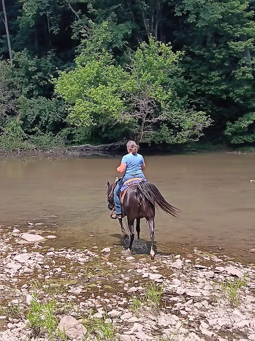 Salamonie River State Forest Family Campground 7