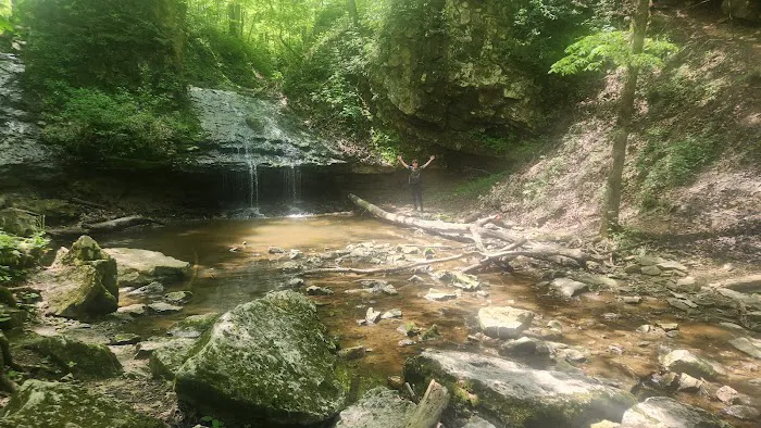 Salamonie River State Forest Family Campground 4