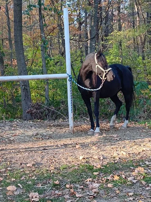 Salamonie River State Forest Horseman's Camp 3