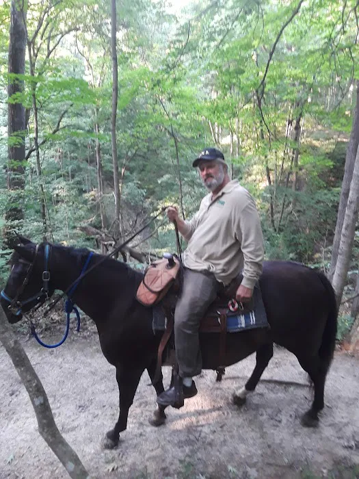 Salamonie River State Forest Horseman's Camp 10