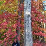 Salamonie River State Forest Horseman's Camp