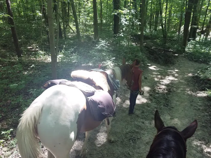 Salamonie River State Forest Horseman's Camp 7